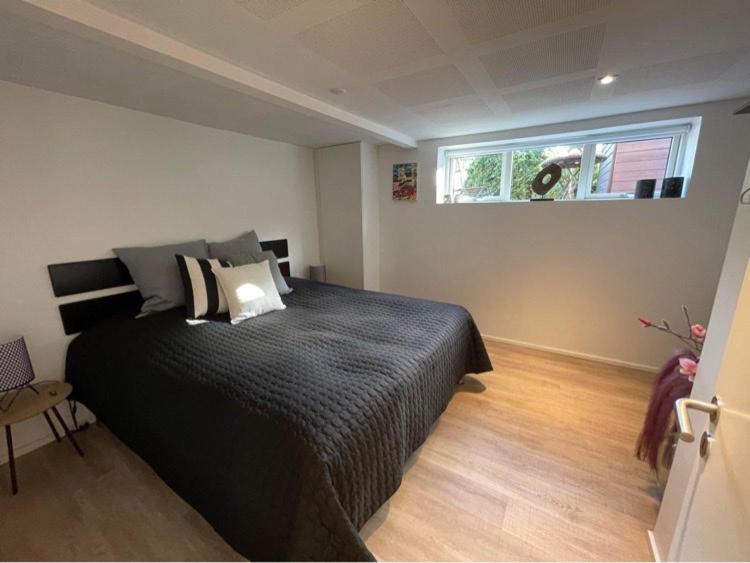 Nyistandsat Hojloftet Kaelderlejlighed Pa 70 M2 I Viborg Centrum, Med Plads Til 4 Personer 外观 照片